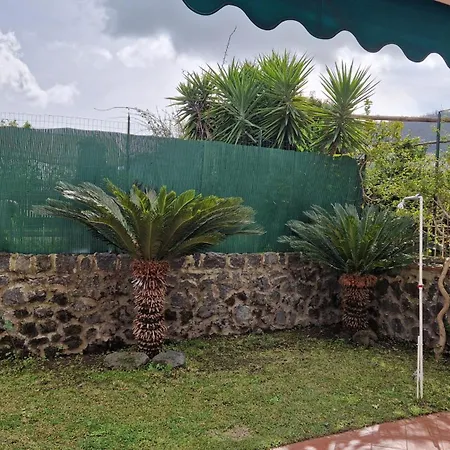 La Ginestra *